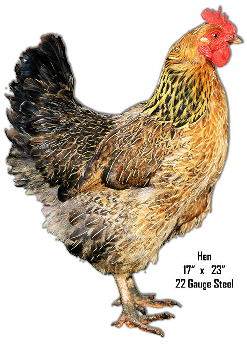 Rooster Animal 17×24