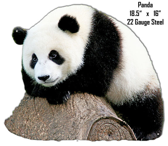 Panda Bear Animal 16×18.5