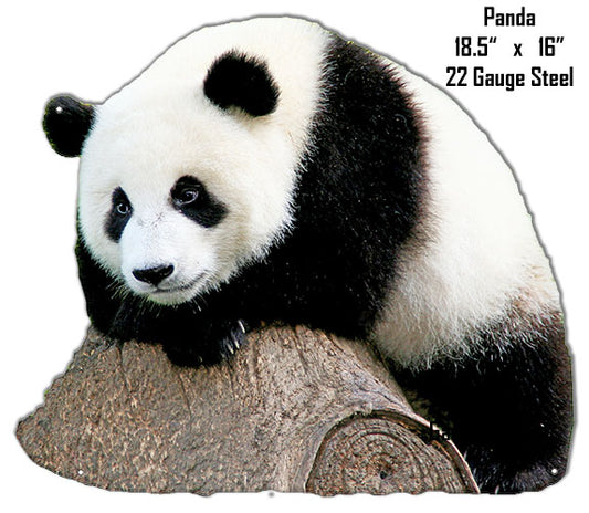 Panda Bear Animal Vintage Style Metal Sign 16 × 18