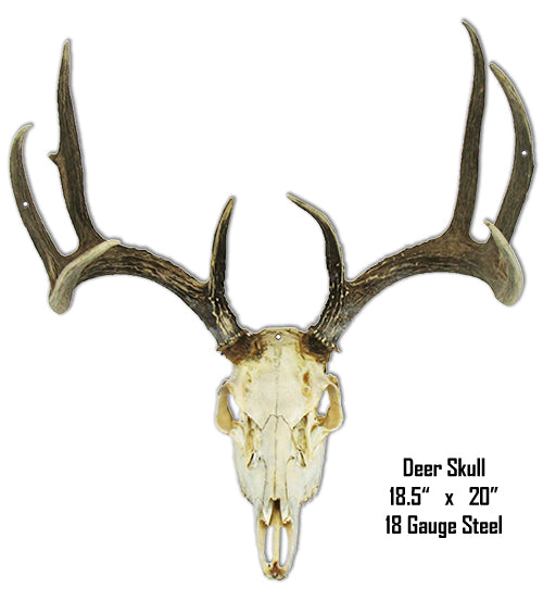 Deer Skull Animal 18.5×20