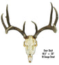 Deer Skull Animal 18.5×20