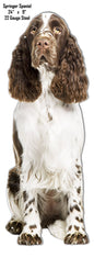 Springer Spaniel Animal 9×24