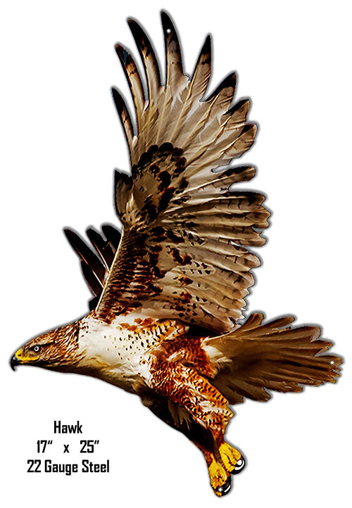 Hawk Animal 17×25