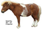 Shetland Pony Animal 18.5×26