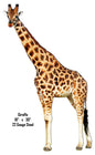Giraffe Animal 18×30