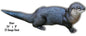 Otter Animal 9×24