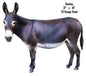 Donkey Animal 18×21