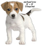 Jack Russell Terrier 18×18