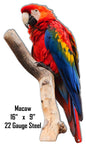 Macaw Animal 9×16