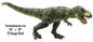 Tyrannosaurus Rex 10×23