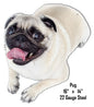 Off White Pug 14×16
