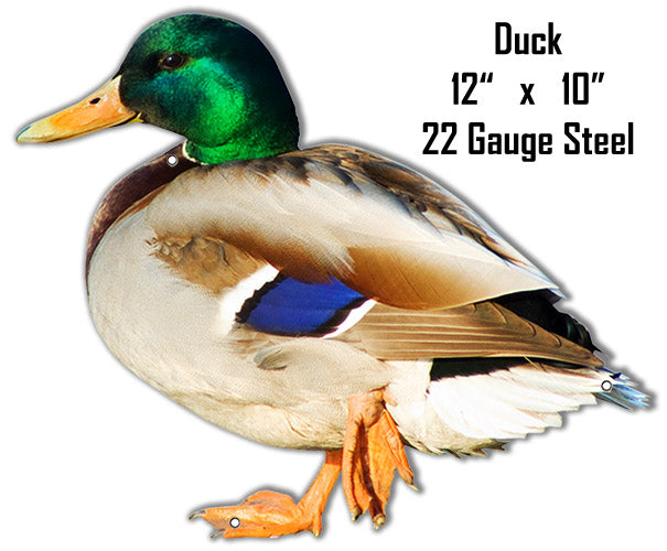 Duck Animal 10×12