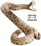 Rattle Snake Animal 17.5×19