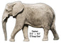 Elephant Animal 15.5×22.5