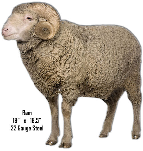 Ram Animal 18×18.5