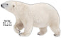 Polar Bear Animal 17.5×28.5