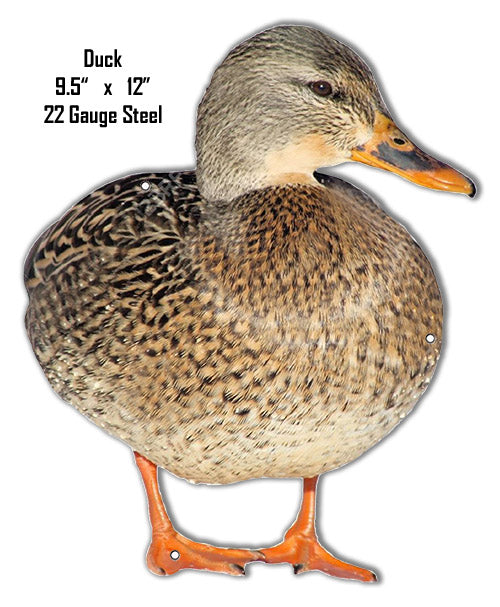 Animal Duck 9.5×12