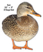 Animal Duck 9.5×12