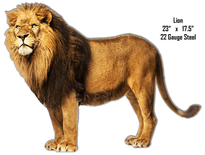 Side View Of Lion Animal 17.5×23