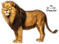 Side View Of Lion Animal 17.5×23