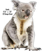 Koala Animal 17.5×22