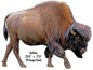 Buffalo Animal 17.5×23.5