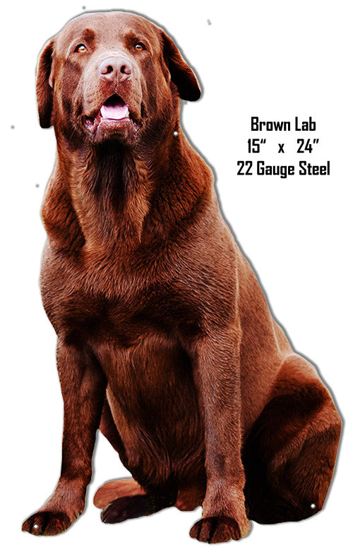 Brown Lab Animal 15×24