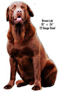Brown Lab Animal 15×24