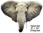 Elephant Head Animal 13.5×18