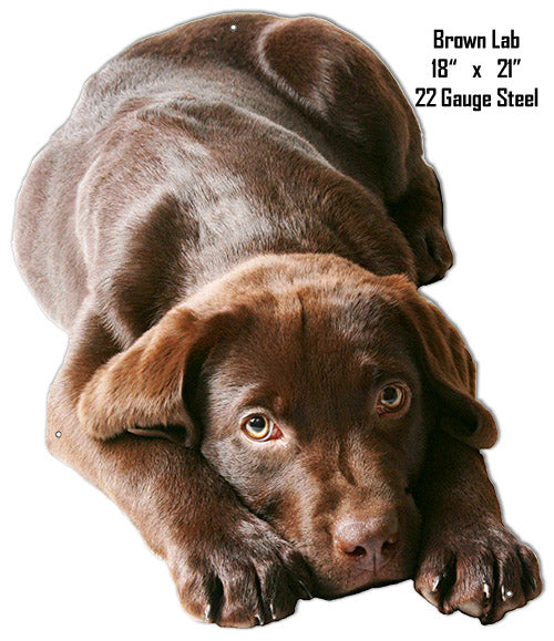 Ba Brown Lab 18×21