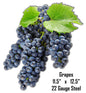 Grapes 11.5×12.5