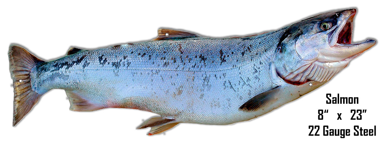 Salmon 8×23