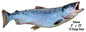 Salmon 8×23