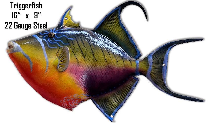 Triggerfish 9×16