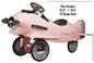 Pretty In Pink Airplane 15.5×24.5