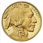 2013 Indian Head Nickel 14x14