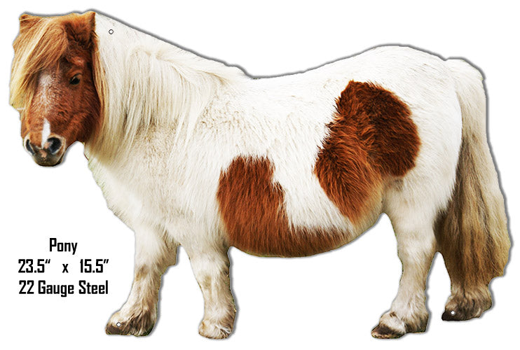 Pony 15.5×23.5