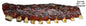 Rack Of Ribs 6.5×23.5