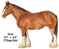 Horse 14.5×17.5