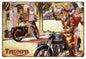 Tri 650 Triumph Motorcycle 12×18