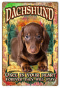 Forever In Your He Dachshund 12×18