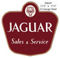 Jaguar 17.5×17.5