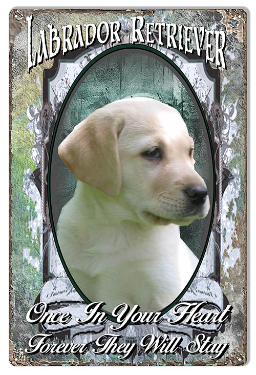 White Labrador Retriever 12×18