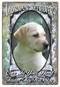 White Labrador Retriever 12×18