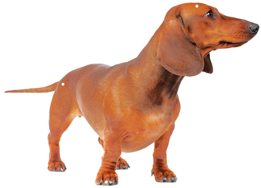 Wiener Dog Vintage Style Metal Sign 14 × 19