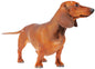 Wiener Dog 14×19