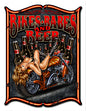 Bikes And Beer Babes Pin Up Girl Motorcycle 14x18