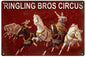 Ringling Bros Circus With Horses 12x18