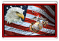 USMC Flag Military 9×12
