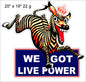 Live Power Motor Oil 19×20